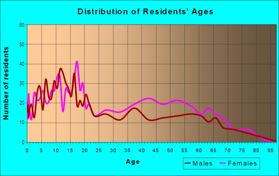 Age and Sex of Residents in University Park in Markham, IL