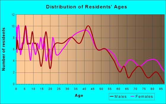 Age and Sex of Residents in Ogden Avenue District in Berwyn, IL