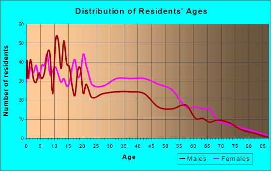Age and Sex of Residents in East Village in Maywood, IL