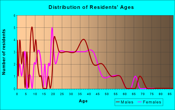 Age and Sex of Residents in Orchard District in Peoria, IL