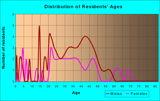Age and Sex of Residents in Randolph-Roanoke in Peoria, IL