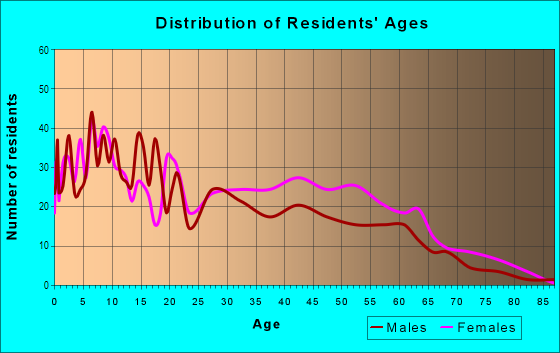 Age and Sex of Residents in Burnside in Chicago, IL