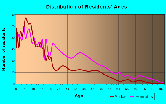 Age and Sex of Residents in Bronzeville in Chicago, IL