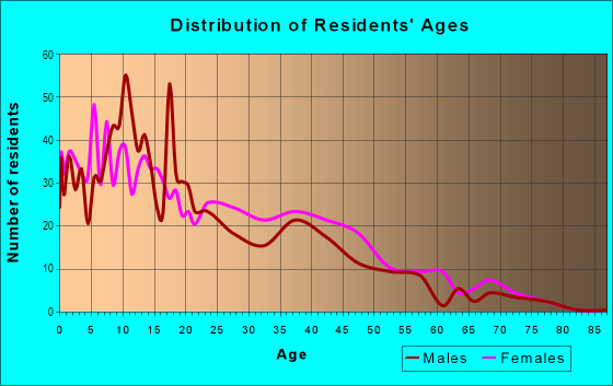 Age and Sex of Residents in Mulberry Forest in Rockford, IL