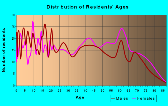 Age and Sex of Residents in Sunnyside in East Chicago, IN