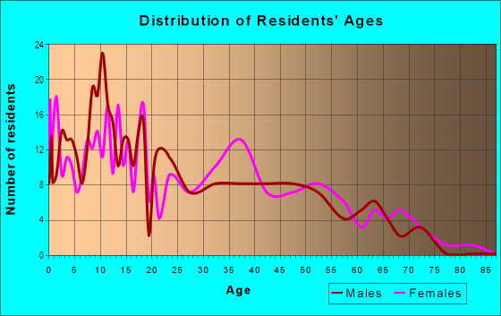 Age and Sex of Residents in Greater McMillen Park in Fort Wayne, IN