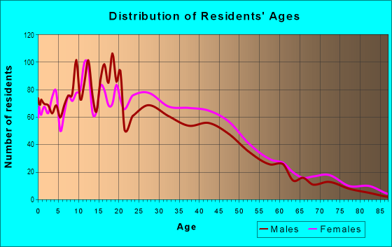 Age and Sex of Residents in Meeting Housing Hill in Boston, MA