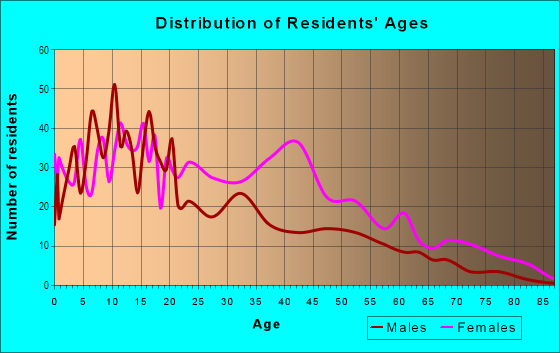 Age and Sex of Residents in Lower Roxbury in Boston, MA