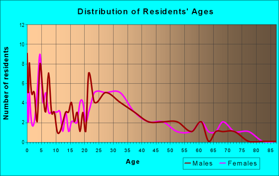 Age and Sex of Residents in Central Square Area in Lynn, MA