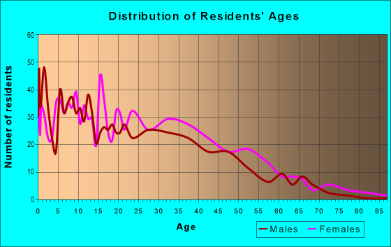 Age and Sex of Residents in The Point in Salem, MA