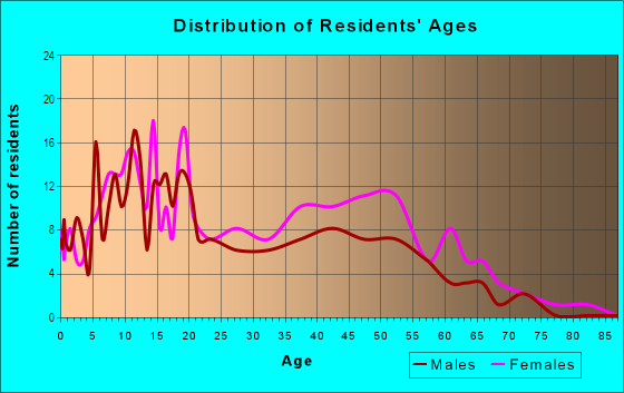 Age and Sex of Residents in Four By Four in Baltimore, MD