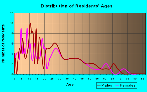 Age and Sex of Residents in Division South in Grand Rapids, MI