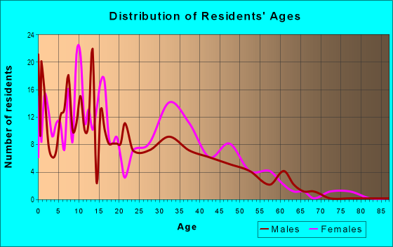 Age and Sex of Residents in Boston Square in Grand Rapids, MI