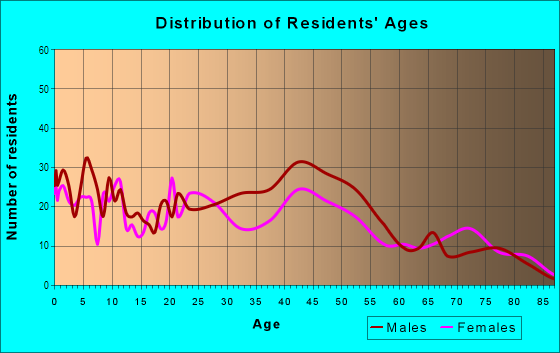 Age and Sex of Residents in East Village in Detroit, MI