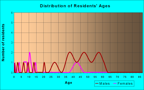 Age and Sex of Residents in Millenium Village in Detroit, MI