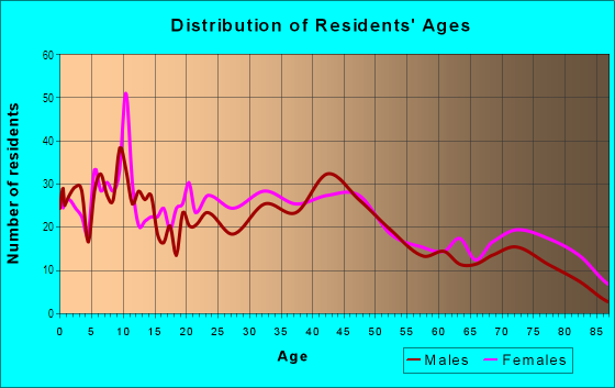 Age and Sex of Residents in NW Goldberg in Detroit, MI