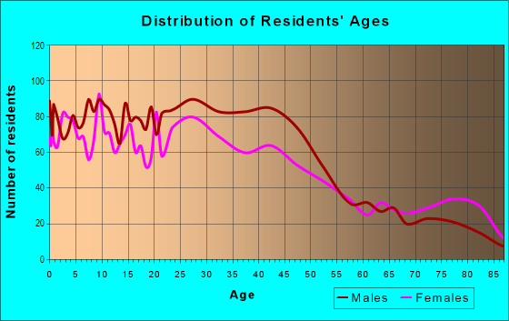 Age and Sex of Residents in Downtown Hamtramck in Hamtramck, MI