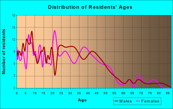 Age and Sex of Residents in Hunter Park in Lansing, MI