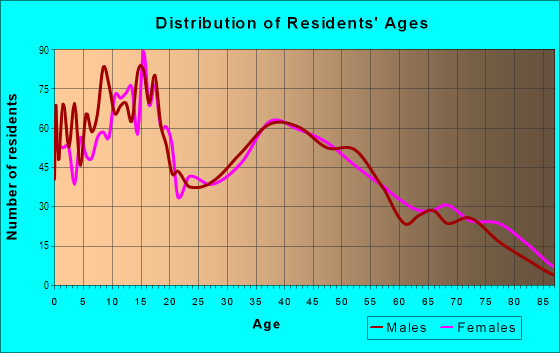 Age and Sex of Residents in Shelby Town Center in New Era, MI