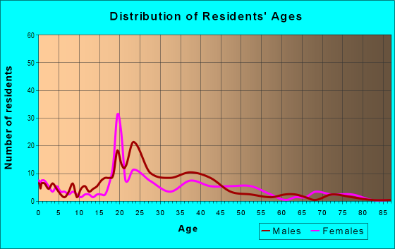 Age and Sex of Residents in Downtown Brainerd in Brainerd, MN