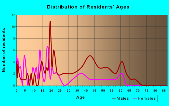 Age and Sex of Residents in Poindexter Park Historic District in Jackson, MS