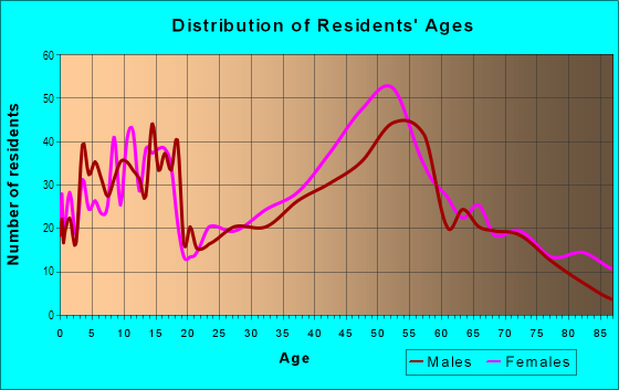 Age and Sex of Residents in New Irving Park in Greensboro, NC