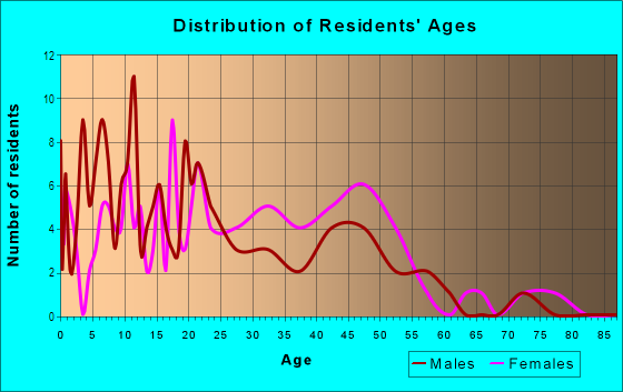 Age and Sex of Residents in Eastside park in Greensboro, NC