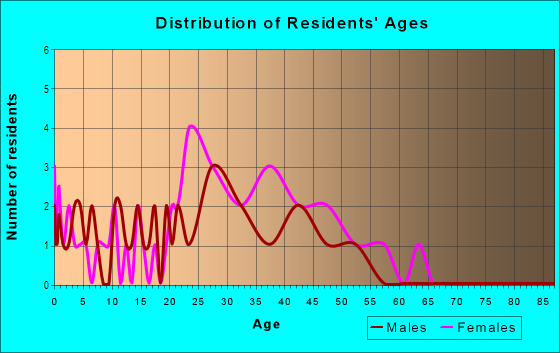 Age and Sex of Residents in Homeplace in Raleigh, NC