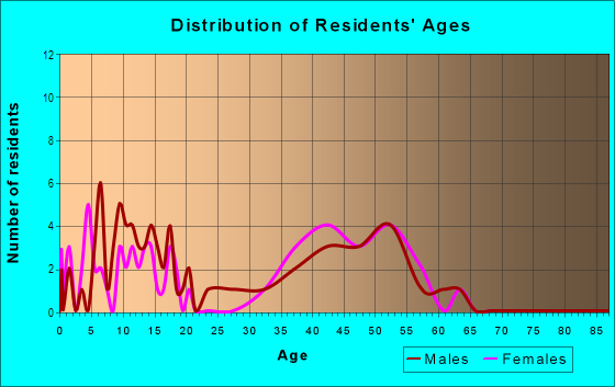 Age and Sex of Residents in Brandon Station in Raleigh, NC