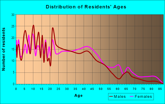 Age and Sex of Residents in Y. E. Smith Community Organization in Durham, NC