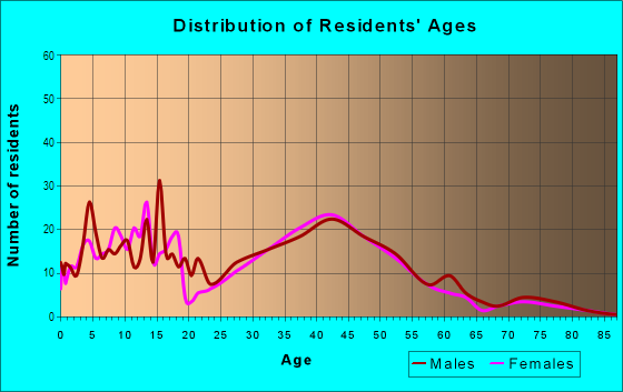 Age and Sex of Residents in Big Island Pond in Derry, NH