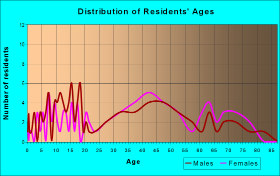 Age and Sex of Residents in South Willow Street in Manchester, NH