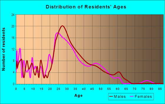 Age and Sex of Residents in Wellington Hill in Manchester, NH