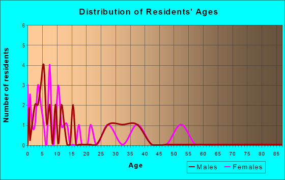 Age and Sex of Residents in Bow Junction in Bow, NH