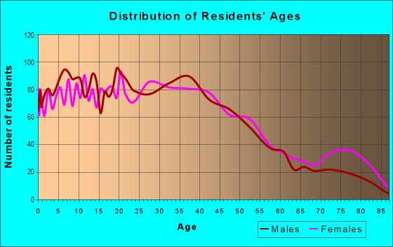 Age and Sex of Residents in Amboy Avenue in Perth Amboy, NJ