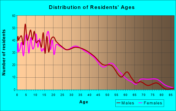 Age and Sex of Residents in Hall Avenue in Perth Amboy, NJ