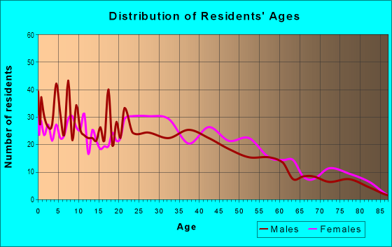 Age and Sex of Residents in Maurer in Perth Amboy, NJ