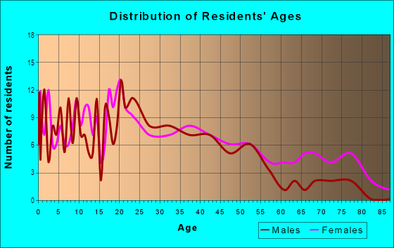 Age and Sex of Residents in Glasstown Arts District in Millville, NJ