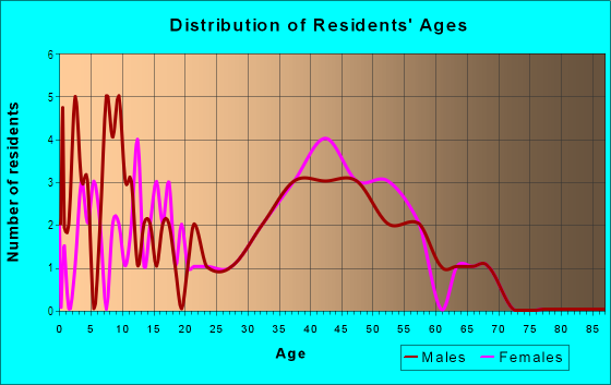 Age and Sex of Residents in Hillside Avenue in Plainfield, NJ