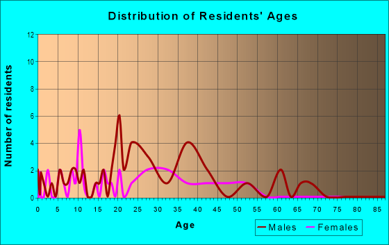 Age and Sex of Residents in North Avenue in Plainfield, NJ
