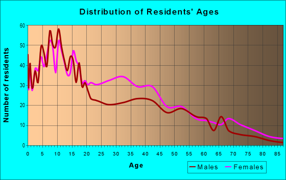 Age and Sex of Residents in Bergen Square in Camden, NJ