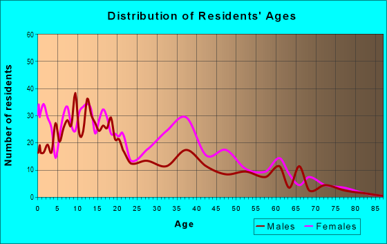 Age and Sex of Residents in Lower Clinton Hill in Newark, NJ