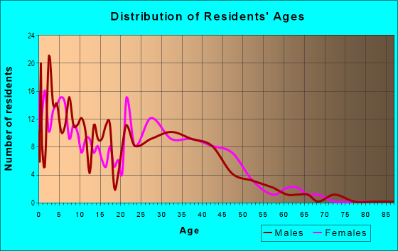 Age and Sex of Residents in Cottonwood Village in Santa Fe, NM