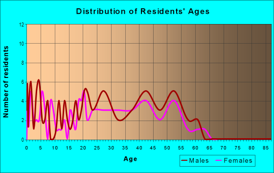 Age and Sex of Residents in Boulder Junction in Las Vegas, NV
