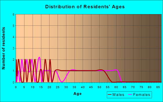 Age and Sex of Residents in Downtown Uniondale in Uniondale, NY