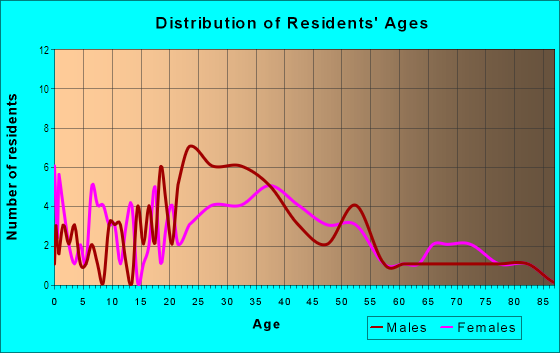 Age and Sex of Residents in Downtown in Ossining, NY
