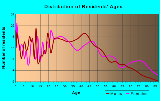 Age and Sex of Residents in Downtown Elyria in Elyria, OH