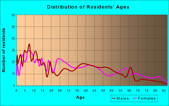Age and Sex of Residents in King-Lincoln Bronzeville in Columbus, OH