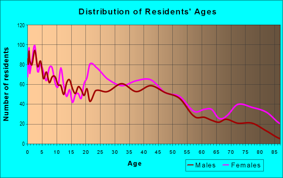 Age and Sex of Residents in Downtown Barberton in Barberton, OH