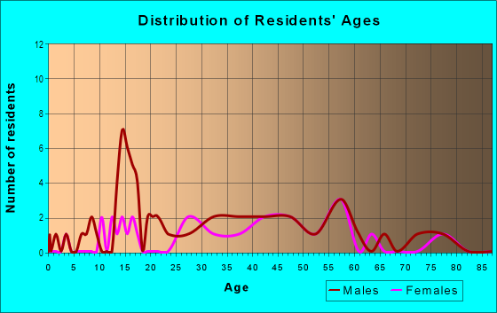 Age and Sex of Residents in Infant of Prague Villa in Akron, OH